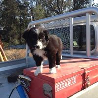 Timothy Mooney's Photo