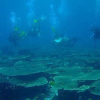 Kryzell Sierra's Photo