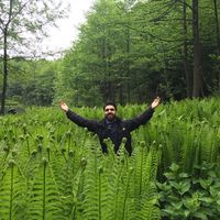 Aziz Kollayan的照片