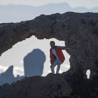 vicent revert的照片