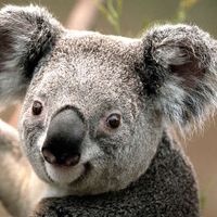 Oleg Ardatov的照片