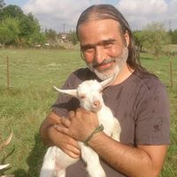 Ali Uçarman的照片