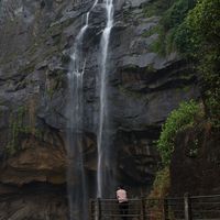 Nirshan Rajan's Photo