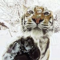 Filipa Naydenova的照片