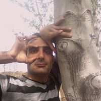 Shahin shirmohammadi的照片