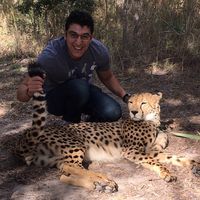 AbdelRahman Elbadawy's Photo