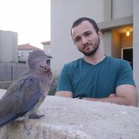 Tomer Shoham的照片