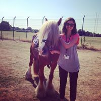 Sheeva Abolhassani's Photo