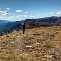 Lisa  Krause's Photo