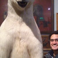 Fotos von Axel Cohen