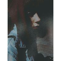 Buket Karanfil的照片