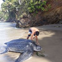 Garrick Lyder's Photo