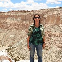 Captain Gini (Virginie)的照片