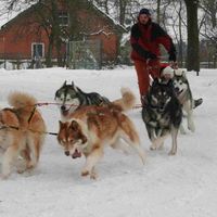 Le foto di Krzysztof Makiewicz