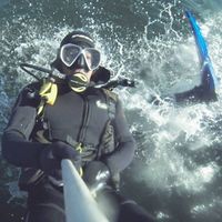 Le foto di Jarred Martin