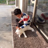 Zhyan L Khudhur的照片