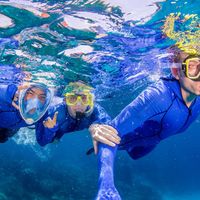 Alexis Deboosère的照片