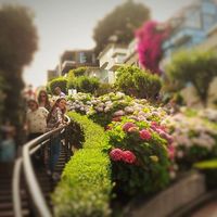 Julieta Masci的照片