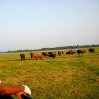 backpackertravelmate@gmail.com Jefer's Photo