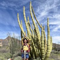 Rachel Friedlander's Photo