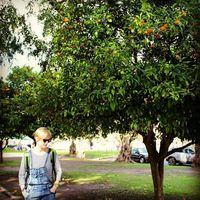 Kaat Carpentier的照片