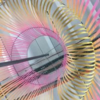 Daniel Nguyen的照片