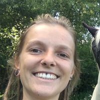 Ann-Katrin Stemmer's Photo