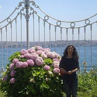 Fotos von pegah Jalali Asheghabadi