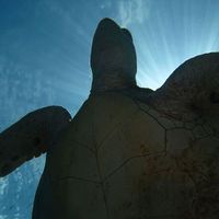 Fotos de Paolo Mistrettum