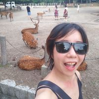 Fotos von ying- Chen