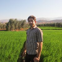 Ahmad ghanbari's Photo