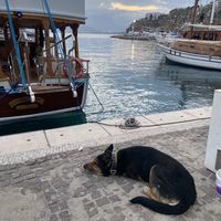 Daria Kalambina's Photo