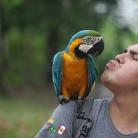 Brayan Acevedo's Photo