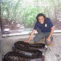 Paul Enerlan's Photo