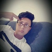 Alireza Gholami的照片