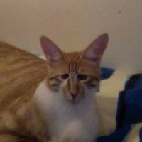 Alessio Pinna's Photo