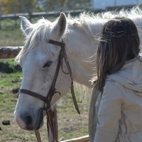 Zdjęcia użytkownika Lusine Noor