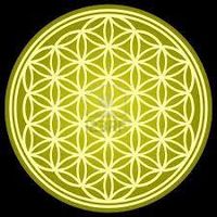 Jacopo Gallizio's Photo