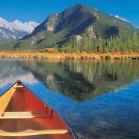 Bachana Bachana Meliava's Photo