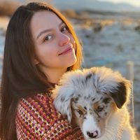 Sarah  Isabel的照片