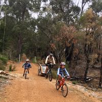 Paola Tanner的照片