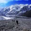 Free Guided Tour To Langtang 的照片