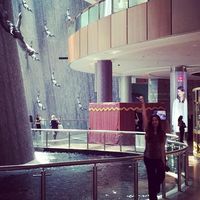 Jacqueline Lopez的照片