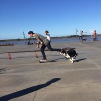 Joaquín Molina的照片