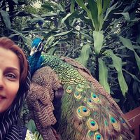 Nafiseh Mirmohammadali's Photo