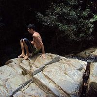 Rodolpho R. Gonzalez's Photo