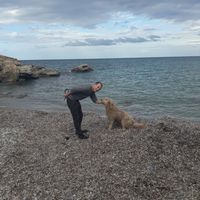 Vince Perritano's Photo