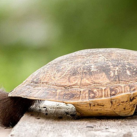 Cassandre Marty's Photo