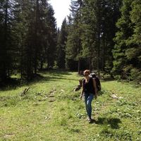 Fotos von Anna Nadine Schnitzel