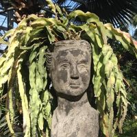 Prairie Play's Photo